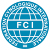 FCI suggestion of Ridgeless variant